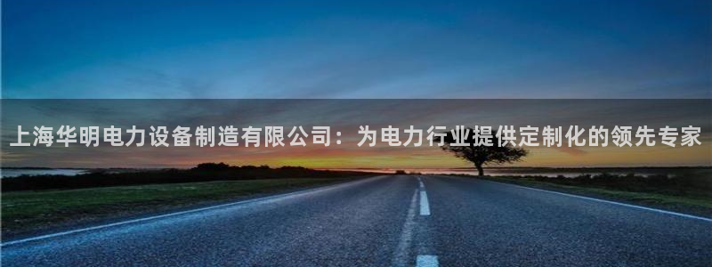 彩神赢的钱是哪里来的：上海华明电力设备制造有限公司：为电力行