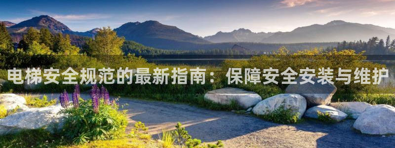 大发彩神官网下载：电梯安全规范的最新指南：保障安全安装与维护