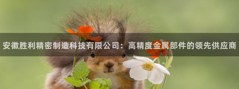 彩神x平台靠什么盈利：安徽胜利精密制造科技有限公司：高精度金属部件的领先供应商
