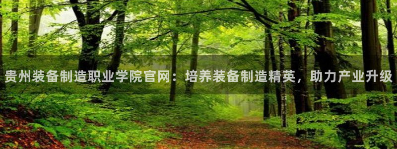 彩神v8官网版：贵州装备制造职业学院官网：培养装备制造精英，助力产业升级