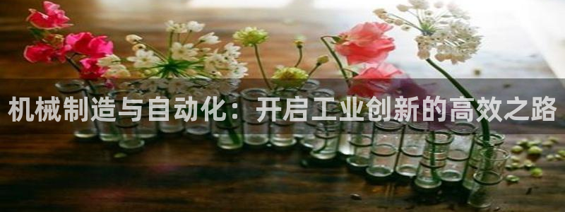 所有彩神购买首页中心：机械制造与自动化：开启工业创新的高效之路