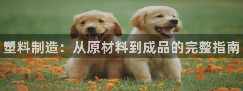 彩神大发黑平台：塑料制造：从原材料到成品的完整指南