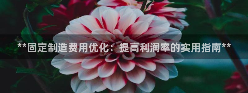 彩神V购彩大厅