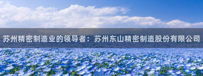 彩神v8手机客户端在哪：苏州精密制造业的领导者：苏州东山精密