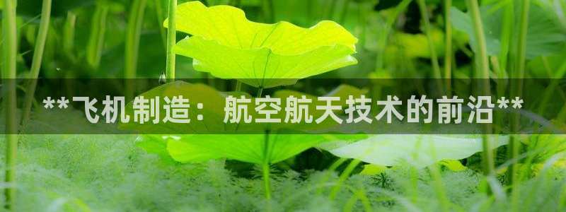 彩神是怎样一个平台：**飞机制造：航空航天技术的前沿**