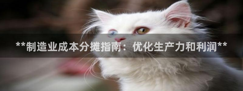 彩神v8下载网址：**制造业成本分摊指南：优化生产力和利润**