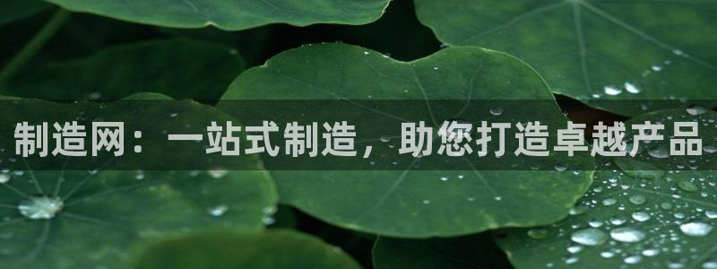 彩神V集团有限公司：制造网：一站式制造，助您打造卓越产品