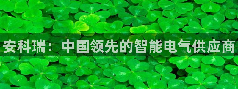 彩神V3大赢家：安科瑞：中国领先的智能电气供应商