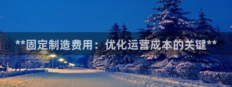 彩神通官方网：**固定制造费用：优化运营成本的关键**