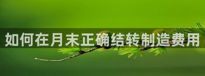 彩神通关注码金码对应码：如何在月末正确结转制造费用