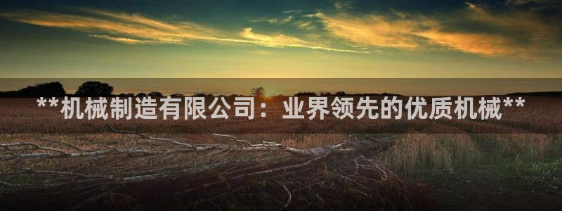 彩神8官网下：**机械制造有限公司：业界领先的优质机械**