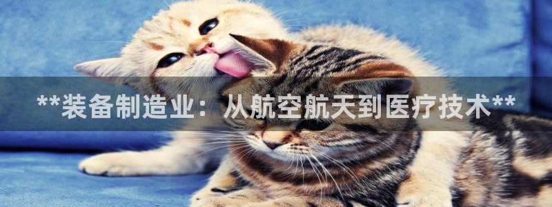 彩神vii官网大赢家