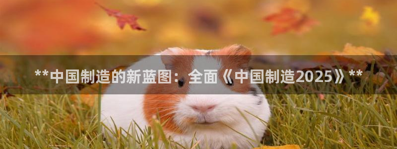 彩神ios下载：**中国制造的新蓝图：全面《中国制造2025》**