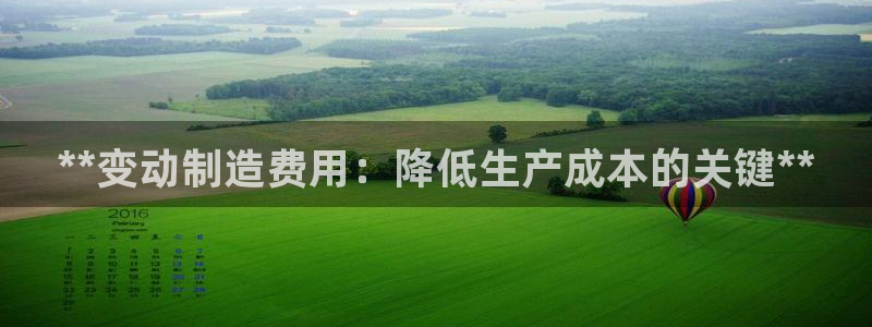彩神用户登录：**变动制造费用：降低生产成本的关键**