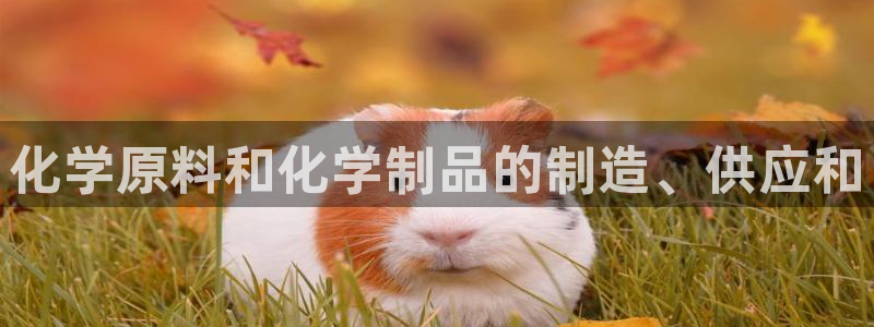 彩神v争霸有限公司：化学原料和化学制品的制造、供应和