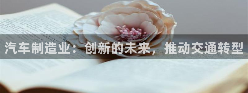 彩神是正规平台吗知乎：汽车制造业：创新的未来，推动交通转型