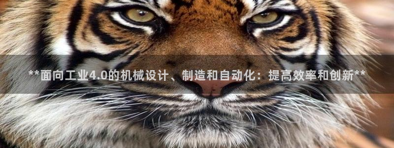 彩神大发黑平台：**面向工业4.0的机械设计、制造和自动化：提高效率和创新**