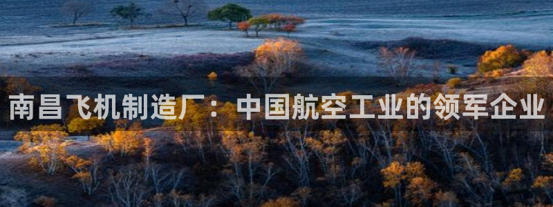 彩神vlll(中国)百度百科：南昌飞机制造厂：中国航空工业的
