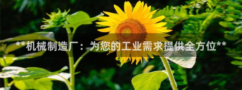 彩神购彩-购彩大厅入口36fr