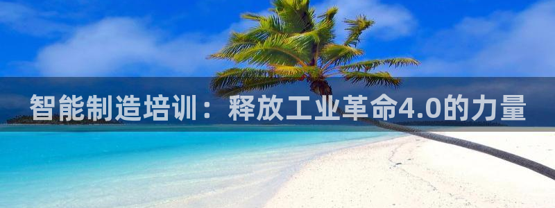 彩神购彩-购彩大厅入口500：智能制造培训：释放工业革命4.0的力量