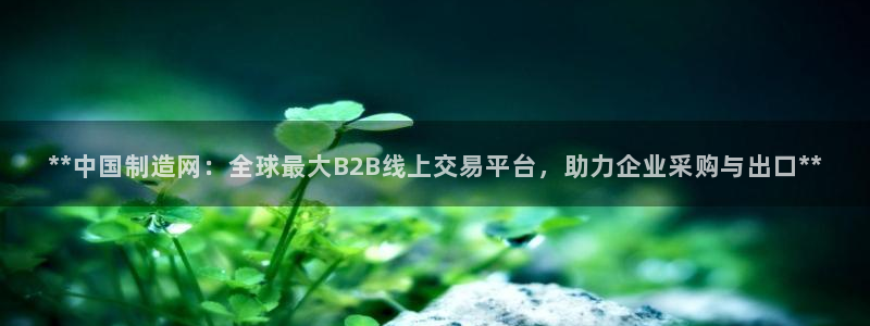 彩神争霸老平台：**中国制造网：全球最大B2B线上交易平台，助力企业采购与出口**