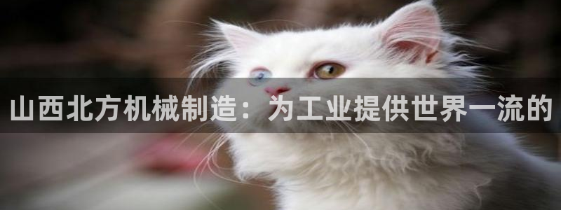 彩神这个平台是真的吗：山西北方机械制造：为工业提供世界一流的
