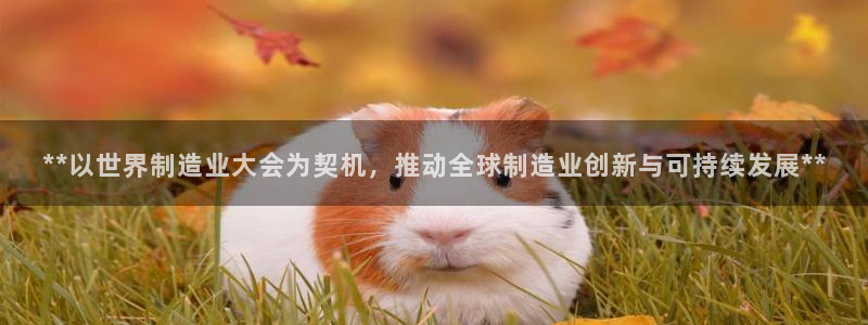 彩神大发三期计划网站：**以世界制造业大会为契机，推动全球制