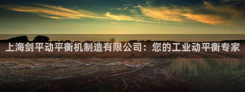 彩神数码科技有限公司