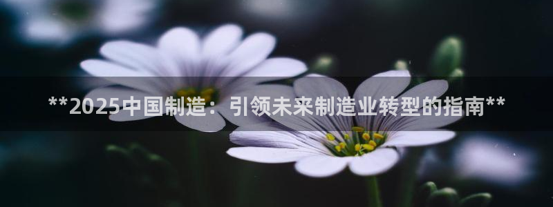 彩神v下载安装：**2025中国制造：引领未来制造业转型的指南**