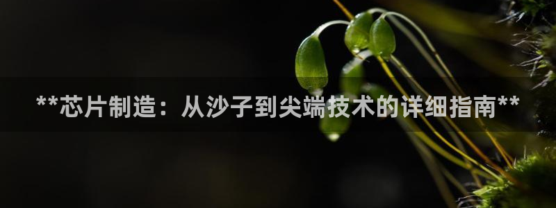 彩神ix是真的吗：**芯片制造：从沙子到尖端技术的详细指南*