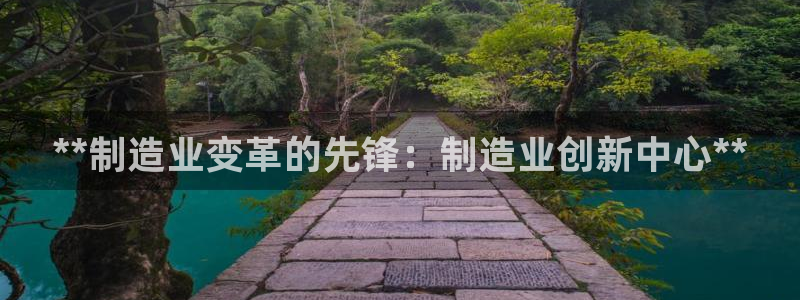 彩神vip购彩大厅：**制造业变革的先锋：制造业创新中心**