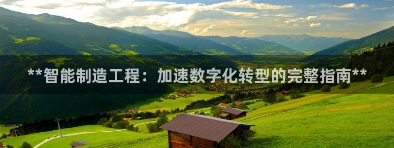 彩神购彩-购彩大厅入口500：**智能制造工程：加速数字化转型的完整指南**