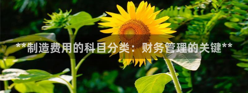 彩神网正规吗