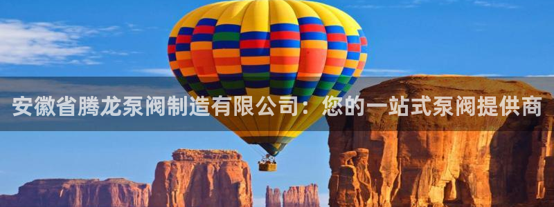 天天赢彩神：安徽省腾龙泵阀制造有限公司：您的一站式泵阀提供商