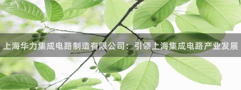 新版彩神v8登录教程：上海华力集成电路制造有限公司：引领上海集成电路产业发展