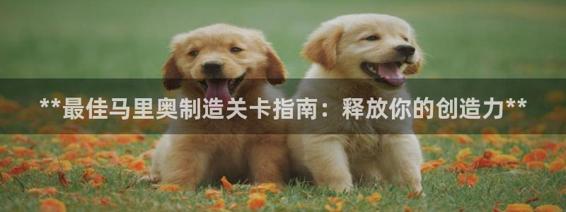 新版彩神v8登录：**最佳马里奥制造关卡指南：释放你的创造力**