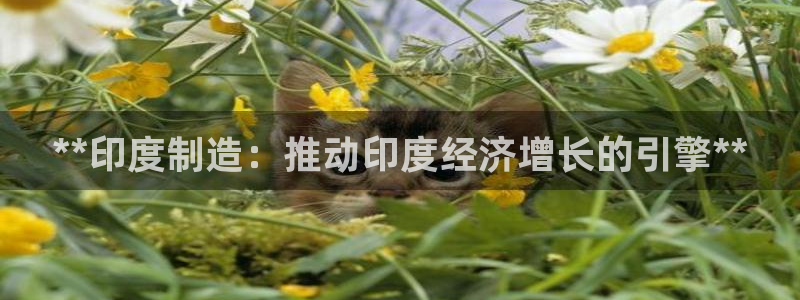 彩神vll购彩大厅：**印度制造：推动印度经济增长的引擎**