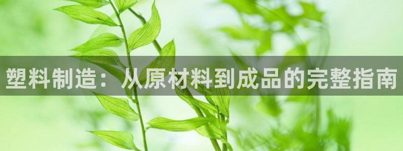 彩神争霸官网登录平台：塑料制造：从原材料到成品的完整指南
