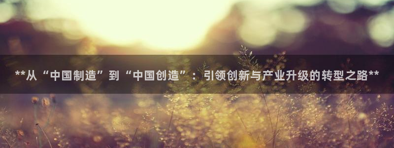 彩神ii官方网：**从“中国制造”到“中国创造”：引领创新与产业升级的转型之路**