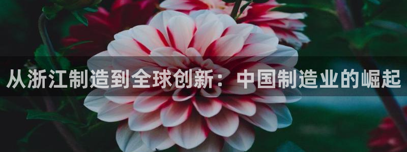 彩神邀请码:00-00-3267：从浙江制造到全球创新：中国制造业的崛起