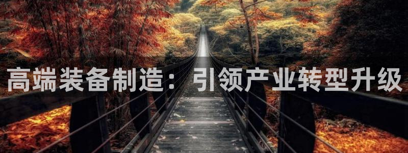 彩神广告有限公司：高端装备制造：引领产业转型升级
