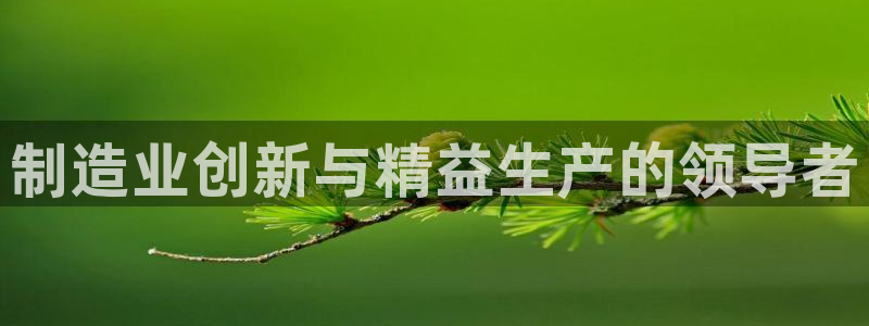 彩神ii官方网：制造业创新与精益生产的领导者