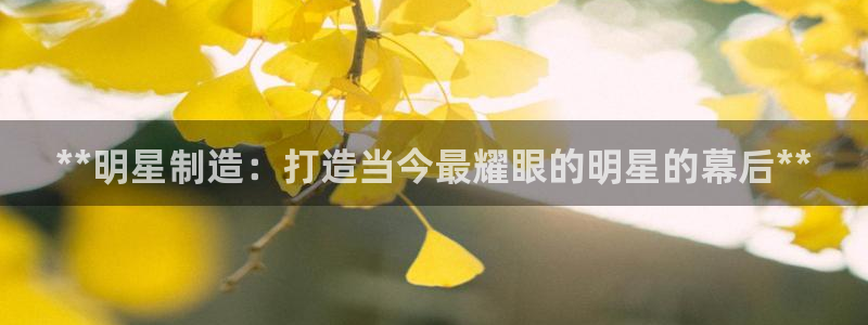 彩神新微聊：**明星制造：打造当今最耀眼的明星的幕后**