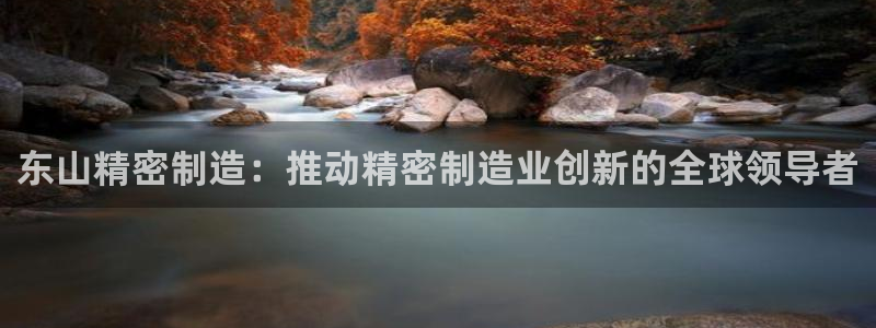 彩神vll购彩大厅大众：东山精密制造：推动精密制造业创新的全