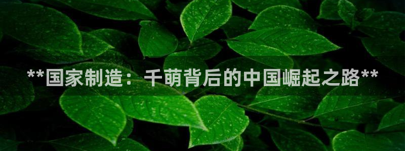 彩神购彩-购彩大厅入口36fr：**国家制造：千萌背后的中国