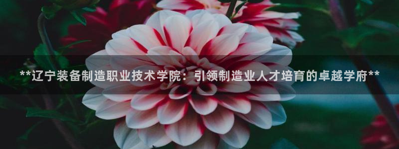 彩神这个平台是真的吗：**辽宁装备制造职业技术学院：引领制造业人才培育的卓越学府**