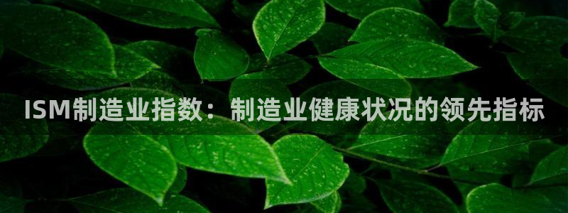 彩神v8客户端：ISM制造业指数：制造业健康状况的领先指标