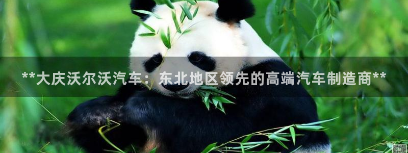 彩神ll能赚钱吗：**大庆沃尔沃汽车：东北地区领先的高端汽车制造商**