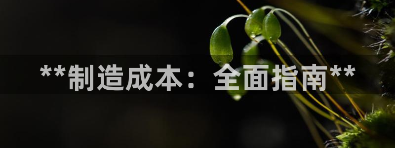 彩神8官网合法吗：**制造成本：全面指南**