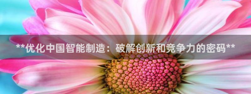 彩神平台能提现吗：**优化中国智能制造：破解创新和竞争力的密码**